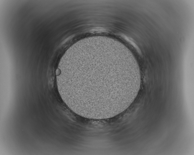 X0000115081015200911241138