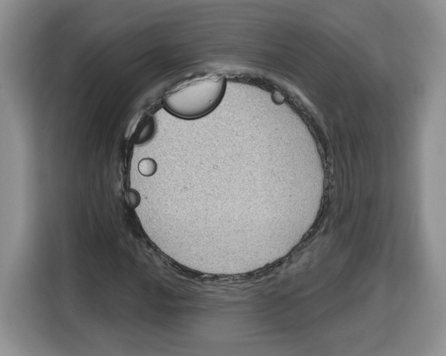 X0000115081016200911241138