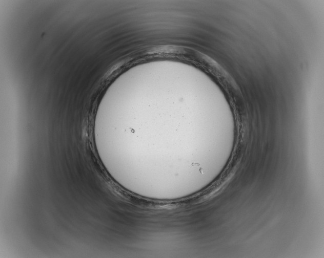 X0000115081017200911241138
