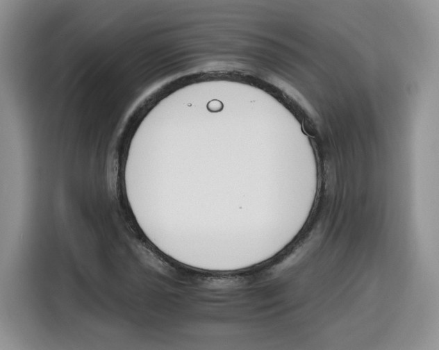 X0000115081021200911241138