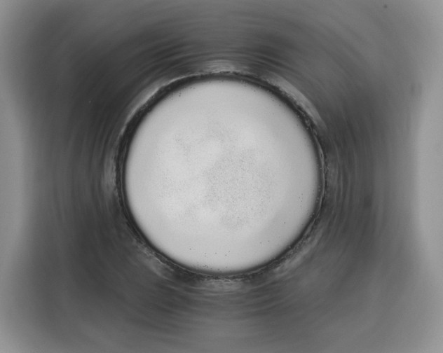 X0000115081023200911241138
