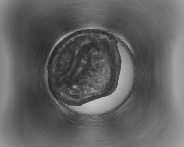 X0000115081024200911241138