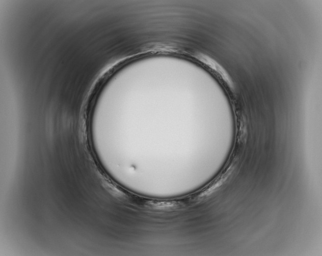 X0000115081027200911241138