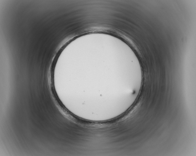 X0000115081034200911241138