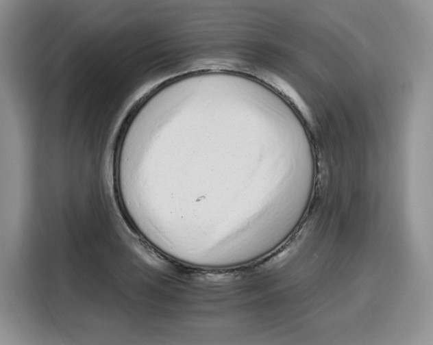 X0000115081035200911241138