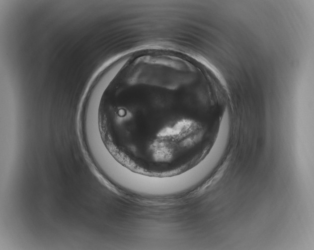 X0000115081037200911241138