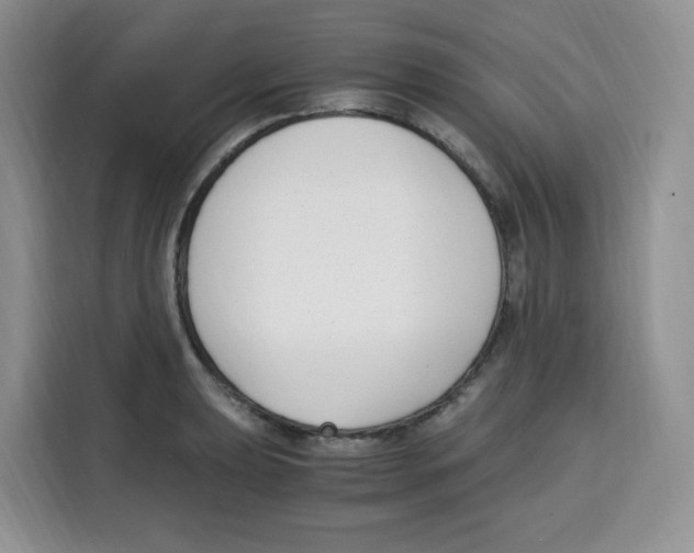 X0000115081039200911241138