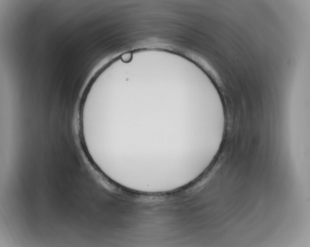 X0000115081040200911241138