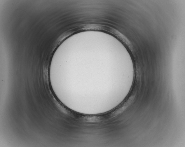 X0000115081041200911241138