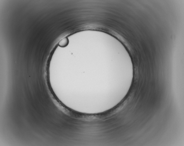X0000115081042200911241138