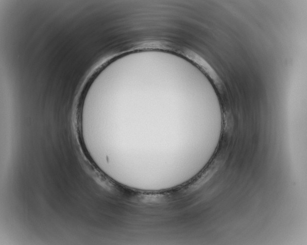 X0000115081043200911241138