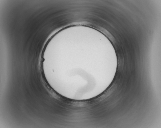 X0000115081044200911241138