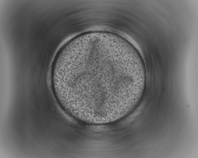 X0000115081045200911241138