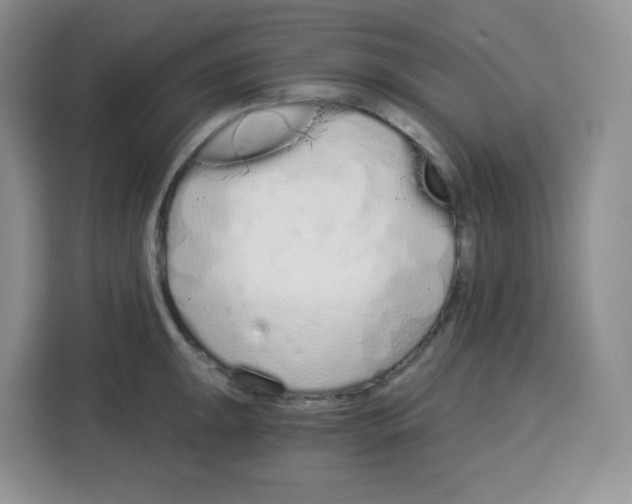 X0000115081047200911241138