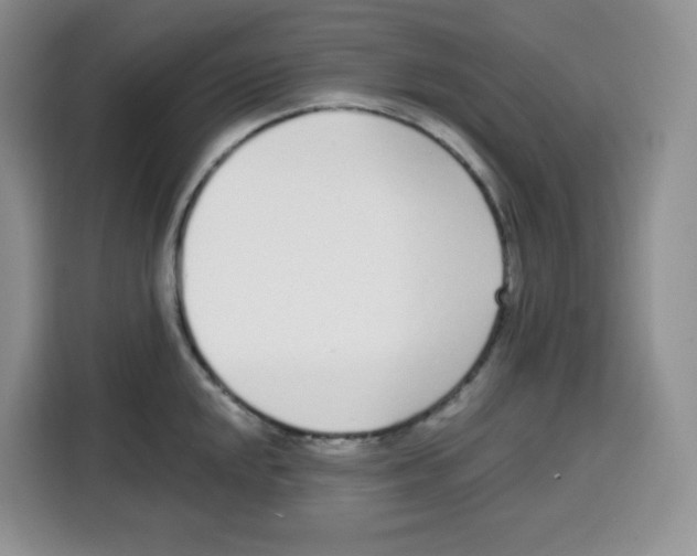 X0000115081048200911241138