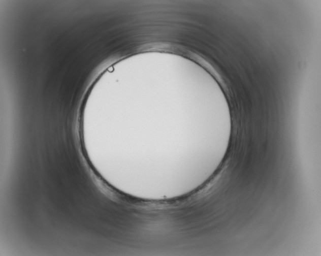 X0000115081050200911241138