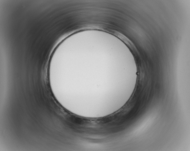X0000115081052200911241138