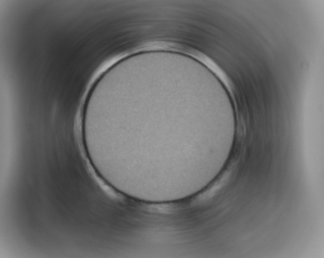 X0000115081053200911241138