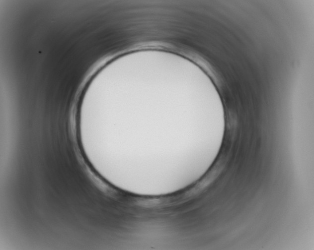 X0000115081054200911241138