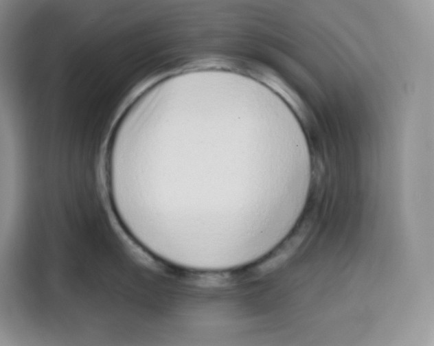 X0000115081055200911241138