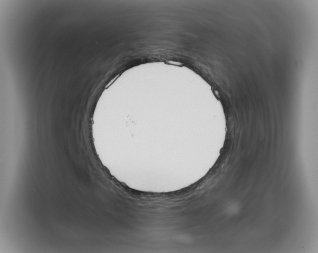X0000115081057200911241138
