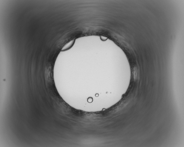 X0000115081059200911241138