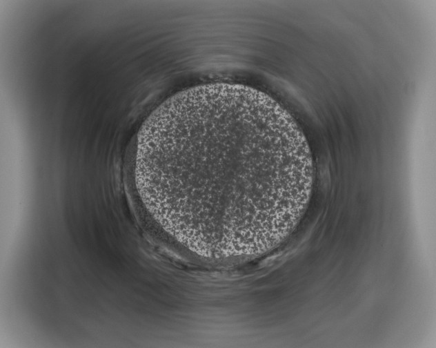 X0000115081060200911241137