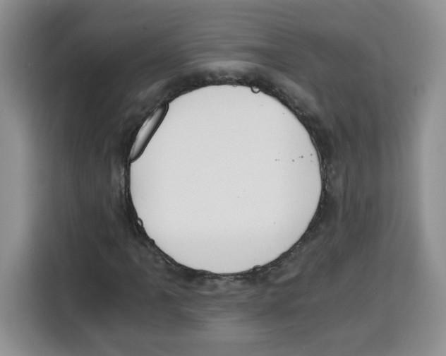 X0000115081061200911241137
