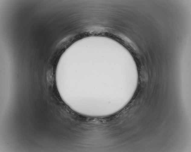 X0000115081063200911241137