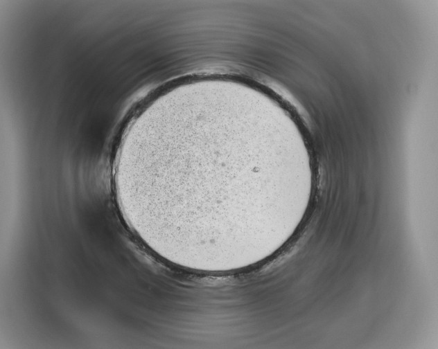 X0000115081067200911241137