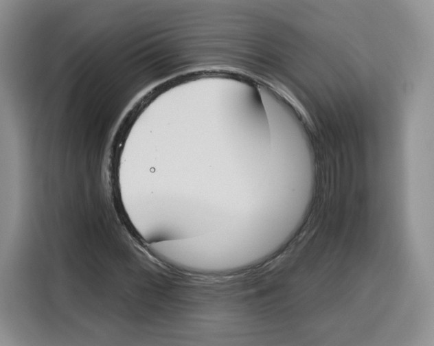 X0000115081068200911241137
