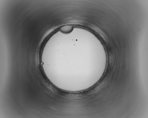 X0000115081069200911241137