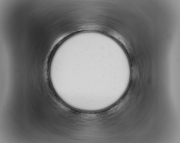 X0000115081071200911241137
