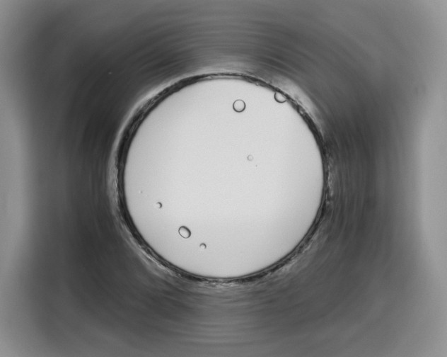 X0000115081072200911241137