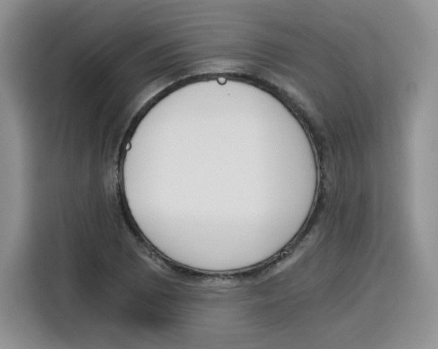 X0000115081073200911241137