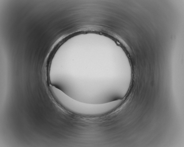 X0000115081075200911241137