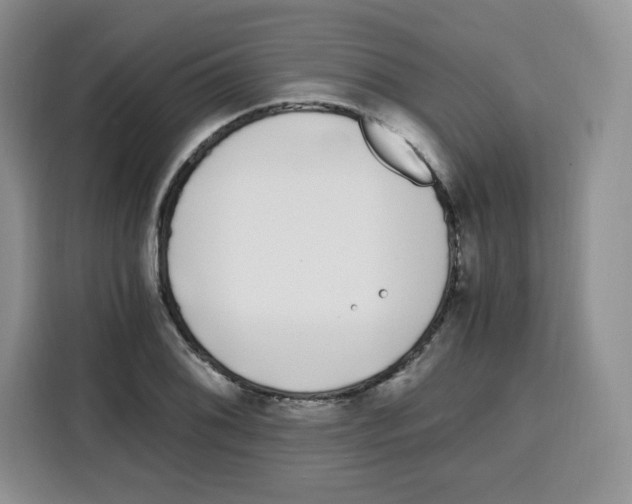 X0000115081076200911241137
