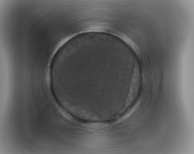 X0000115081077200911241137