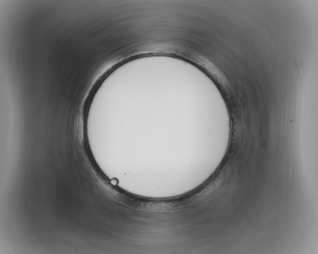 X0000115081079200911241137