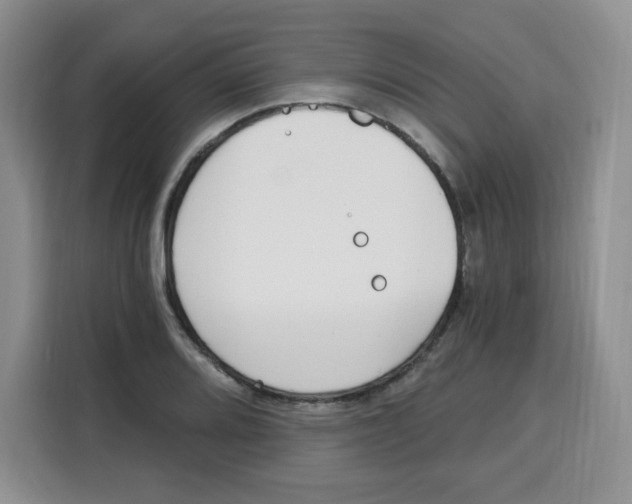 X0000115081080200911241137