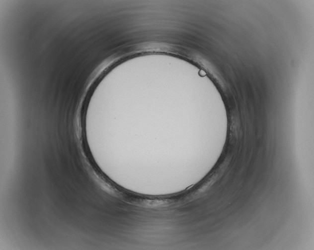 X0000115081082200911241137