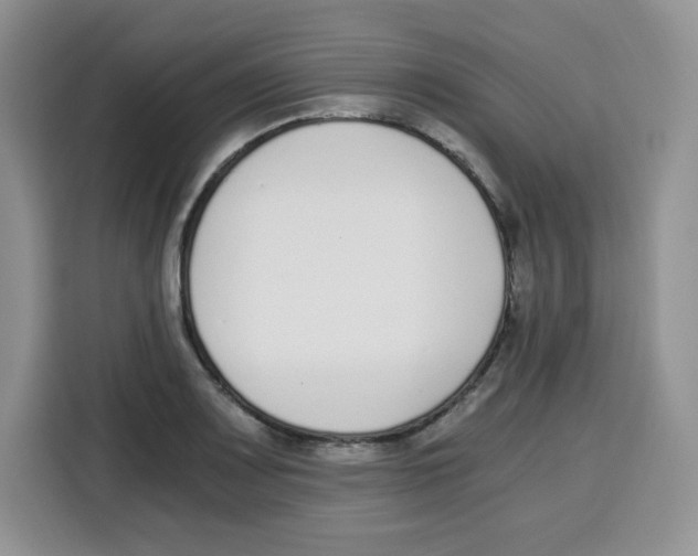 X0000115081083200911241137