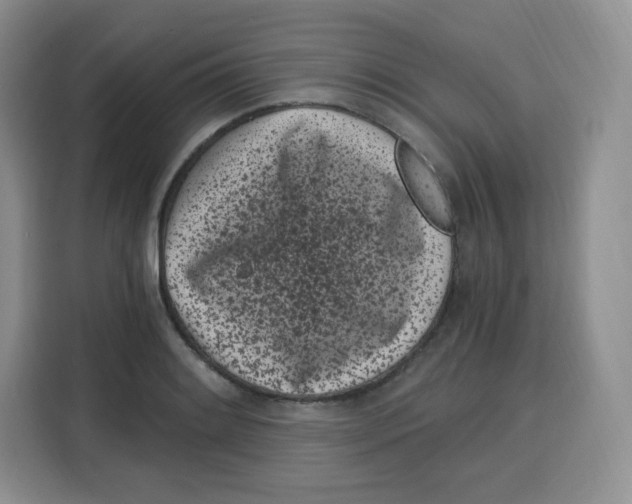X0000115081084200911241137