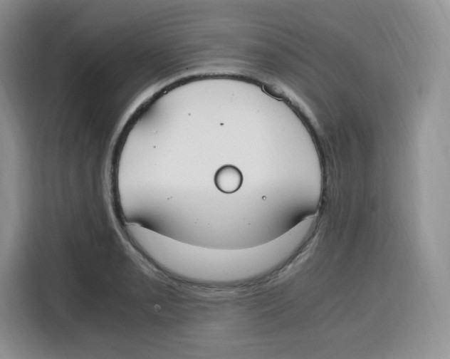 X0000115081085200911241137