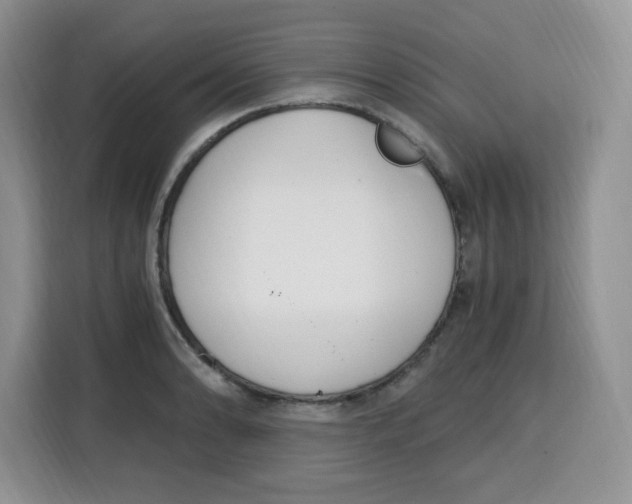X0000115081086200911241137