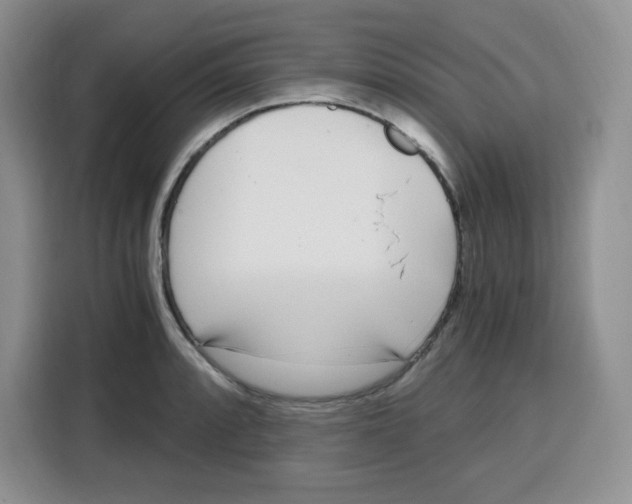 X0000115081088200911241137