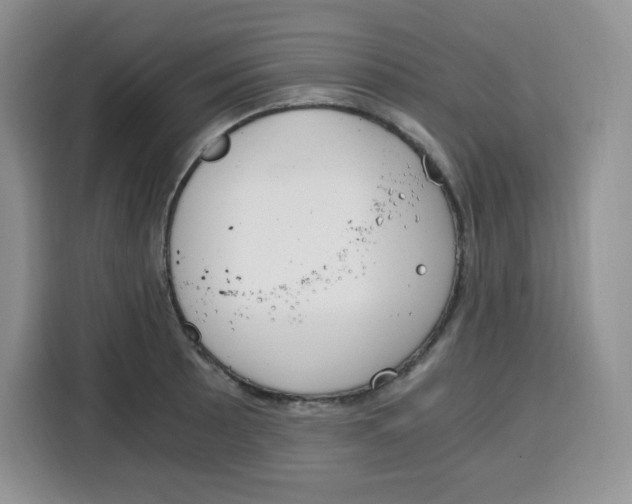 X0000115081089200911241137