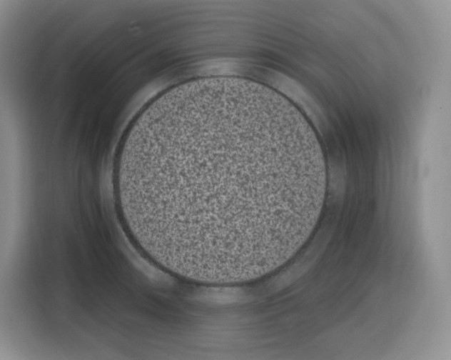 X0000115081090200911241137