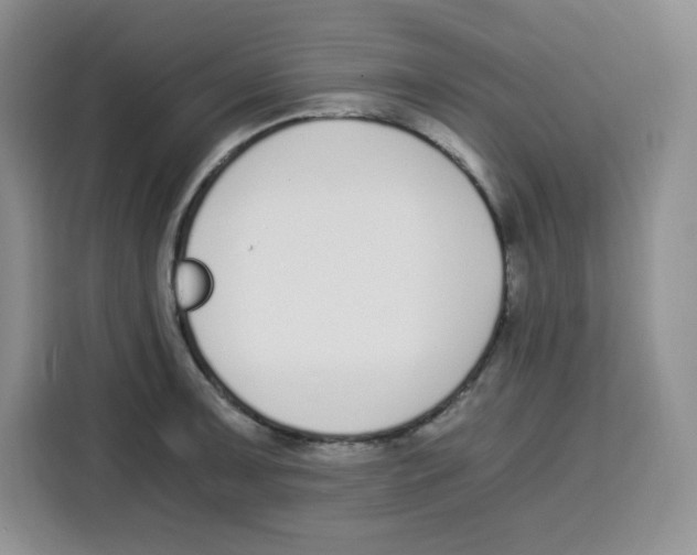 X0000115081091200911241137