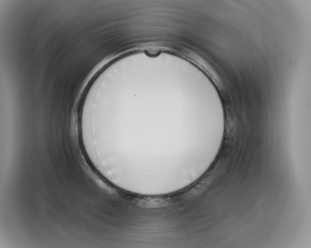 X0000115081092200911241137
